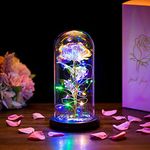 Beauty Beast Rose Gifts Women, Eternal Fake Roses Wedding Anniversary Valentines Gift for Her Nan Birthday Everlasting Artificial Forever Galaxy Flower Lights in Glass Dome for Christmas Nana Mam