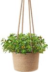 ZAVEZA- Eco Friendly Hanging Planters Cotton Rope Basket, Plant Holder with Large Handle Set of 1 (Size- 8 X 6 Inches)