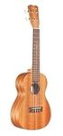 Cordoba Guitars Protégé by Cordoba U1 Concert Ukulele