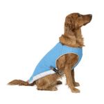 Canada Pooch Dog Cooling Vest - Evaporative Cooling Vest for Dogs with Breathable Mesh Material & Reflective Lining, Adjustable Dog Cooling Vest Great for Dogs 12 (11-13" Back Length), Blue