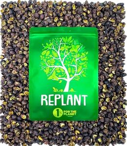 REPLANT - 