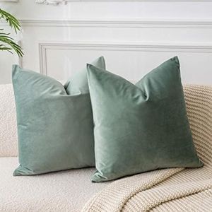 JUSPURBET Euro Sage Velvet Throw Pillow Covers 26x26 Set of 2,Decorative Solid Soft Cushion Cases for Couch Sofa Bed