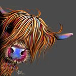 Shirley MacArthur HiGHLaND CoW PRiNT BoX CaNVaS (WaLL ART, CoW PRiNT, CoW CaNVaS, SCoTTiSH GiFTS) FROM PAINTING LARGE 20x20 INCH Highland Cows ' SuGaR LuMP oN GReY