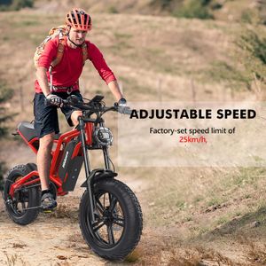 Hidoes B6 Fat Tire Electric Bike – All-Terrain E-Bike for Adults