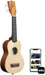 Kala 15S Satin Mahogany Spruce Top