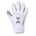 Under Armour Men's Epic 18 Glovess, White (100)/Steel, Small