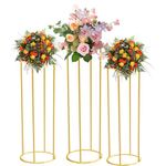 Tacsal 3pcs Round Cylinder Pedestal Stands for Parties with Acrylic Disc, 39.4"/31.5"/23.6" Gold Metal Plant Columns Pedestal Stands for Display, Cylinder Columns Tables for Weddings Cake Birthday Parties Tables (Large)