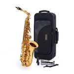 Elkhart 100 Series Alto Saxophone