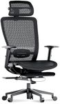 FLEXISPOT Ergonomic Office Chair wi