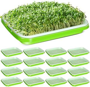 Eaasty 16 Pcs Seed Sprouter Tray with Drain Holes Seed Germination Propagation Trays Healthy Wheatgrass Microgreens Growing Trays Beans Nursery Sprouting Tray(12.2 x 9.06 x 1.77 Inch, without Lid)