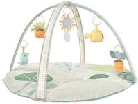 Skip Hop Tummy Time Mat, 3-in-1 Act