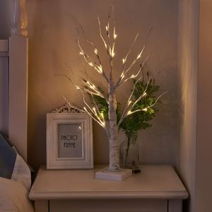 Eambrite 2ft Birch Twig Tree Lights – LED Decorative Tabletop