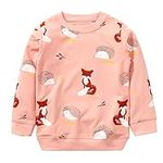 Bumeex Toddler Girl's Sweatshirts C