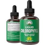 Chlorophyll Liquid Drops USA Source