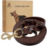 FAIRWIN Leather Dog Leash Braided G