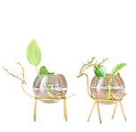 Home Trends India Propagation Station with Metal Frame | Test Tube Glass Plant Holder for Home Decor, Bedroom, Office, Living Room | Desktop & Wall Shelf Plant Display Stand (1) (Glass Planter)