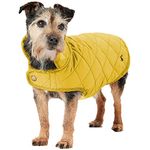 Rosewood Joules Antique Gold Quilted Dog Coat, Large
