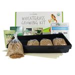 Handy Pantry WGK-DE Wheat Grass Growing Kit