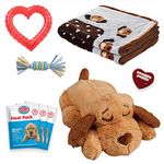 Snuggle Puppy Heartbeat Stuffed Toy for Dogs - Pet Anxiety Relief and Calming Aid - Biscuit - New Puppy Starter Kit (Blue)