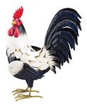 Regal Art & Gift Rooster Decor, 14", Black & White