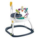 Fisher-Price Astro Kitty SpaceSaver Jumperoo Infant Activity Center