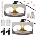 ALLOMN Flea Traps Kit for Home, 2 Pack Fleas Trap Lamps with 10pcs Sticky Sticker for Bedroom Living Room Utility Room Kitchen, Flea Light Traps Non-Toxic with 4 Light Bulbs for Gnat, Moth, Fruit