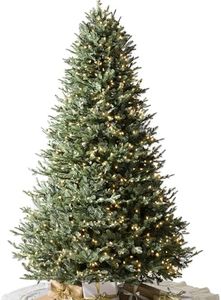 Balsam Hil