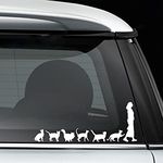 TAMZAM - Crazy Cat Lady Woman Pet Funny Decal Vinyl Sticker White Cars Trucks Vans SUV Laptops Walls Glass Metal - 7.5 inches