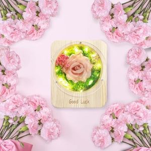 YUIXLIN Preserved Roses Gift Eternal Flowers Birthday Gifts for Women Her Mom Wife Girlfriend Grandma on Valentines Mothers Day Christmas Anniversary Romantic Thanksgiving(Pink)