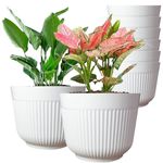 DEVICE OF URBAN INFOTECH 12 Inch Flower Pots Big Size Planters Indoor & Outdoor Home Gardening Pots for Plants Plastic Gamla for Flowers, Herbs, Cactus Plant Pots (Pack of 8)