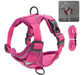 Simple Dog Harness