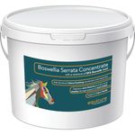 Equicure Boswellia Serrata Concentrate Powder For Horse/Pony (750g)