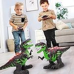 TEMI Remote Control Dinosaur Toys f
