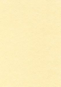 Decadry PCL1677 Boîte de 50 feuilles A4 165g Parchemin champagne