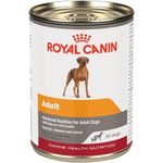 Royal Canin Canine Health Nutrition Adult in Gel Canned Dog Food (Case of 12/1), 13.5 oz