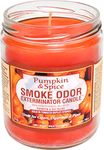 Smoke Odor Exterminator, Pumpkin & Spice Candle, 13 oz, 13 Ounce