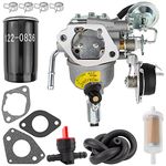 541-0765 Carburetor for Onan Grand Cummins 5500 Marquis replaces 5410765 146-0774 A043B781 141-0983 RV Generator with 122-0836 Fuel Filter