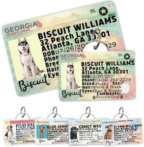 PawFurEver Dog License Tag for Large Breeds - Personalized Pet Driver License ID Tags and Wallet Card - Custom State ID Dog Name Tags Personalized - Funny Dog ID Tags - Illinois (Tags & ID Card)