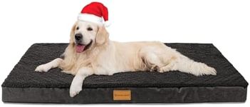 Patas Lague Orthopedic XXL Dog Bed 