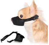 Chihuahua Muzzles