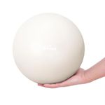 Fresion 25cm Soft Pilates Ball/Small Exercise Ball - Mini Yoga Ball, Core Ball, Barre Ball, Small Workout Ball,Gym Ball for Physical Therapy, Balance, Stability, Stretching