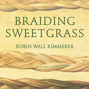 Braiding S