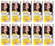 (Pack of 10) Palette Colour Shampoo 4-99 (301) Burgundy Red Hair Colour - Full Box - with English Instruction Leaflet