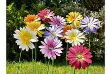 Furniture Checklist Metal Garden Flower Stakes Set Of 12 Multicoloured Garden Decorative Ornaments H58cm x W20cm x D8cm