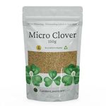 Micro Clover Seed for Lawn UK - 100% Small Leaf White Clover - Over Seeding or New Areas - 150g Pack