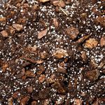 Premium Orchid Potting Mix with Biochar & Coco Coir – Fine Orchid Bark, Perlite & Gentle Organic Feed – Fast Draining Soil for Phalaenopsis & Indoor Orchids (2L)