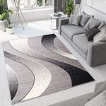 TAPISO Dream Area Rug Living Room Bedroom Short Pile Modern Abstract Light Grey Wavy Durable Carpet Size - 80 x 150 cm (2ft7 x 4ft11)