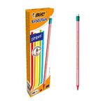 BIC Evolution 646 HB Pencil with Eraser (Pack of 12 In Assorted Colours