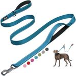Fida 6 FT Heavy Duty Dog Leash with