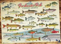 Cobble Hill 1000 Piece Puzzle - Freshwater Fish of North America - Sample Poster Included